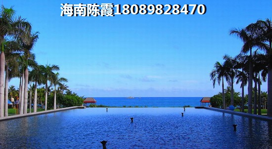 海上大都会 价格