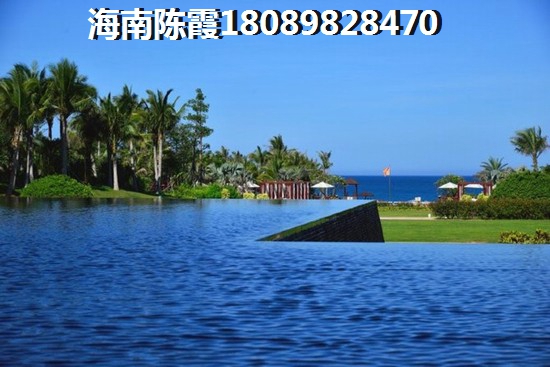 湛江吴川鼎龙湾国际滨海度假区 两居  户型图