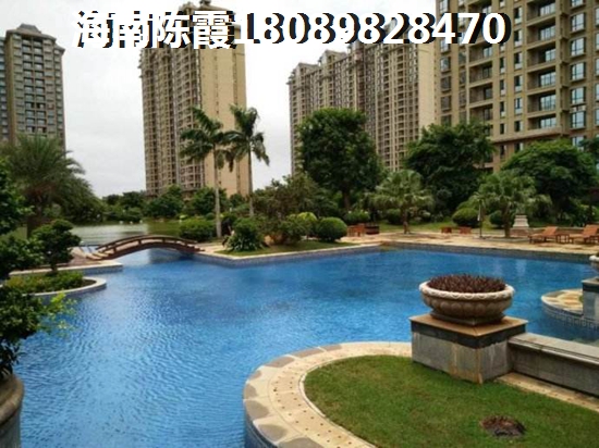 吴川鼎龙湾看图 一居  户型图
