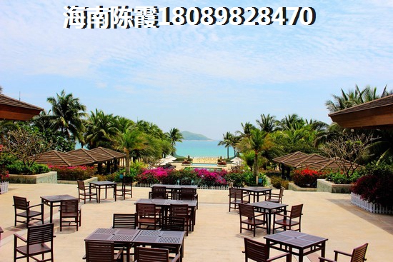 吴川鼎龙湾看图 一居  户型图